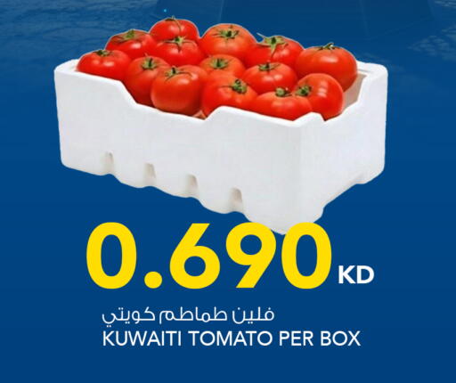 Tomato from Kuwait available at  ALNASSER HYPERMARKET in Kuwait - Ahmadi Governorate