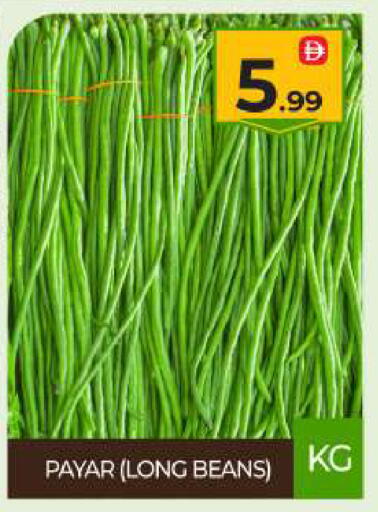 available at بيج مارت in الإمارات العربية المتحدة , الامارات - أبو ظبي