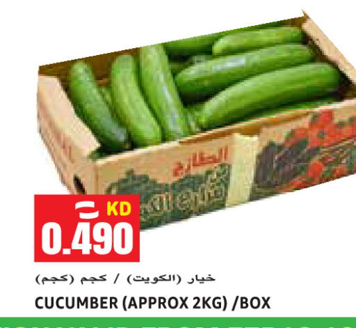 Cucumber available at Sabsah Hypermarket in Kuwait - Kuwait City