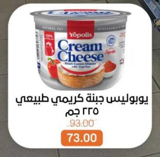 available at بيت الجملة in Egypt - القاهرة