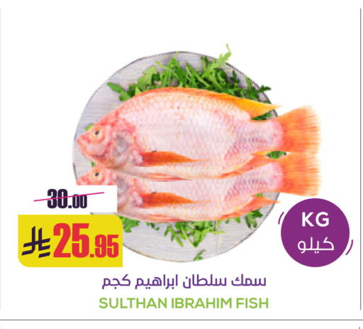 available at Sapt in KSA, Saudi Arabia, Saudi - Buraidah