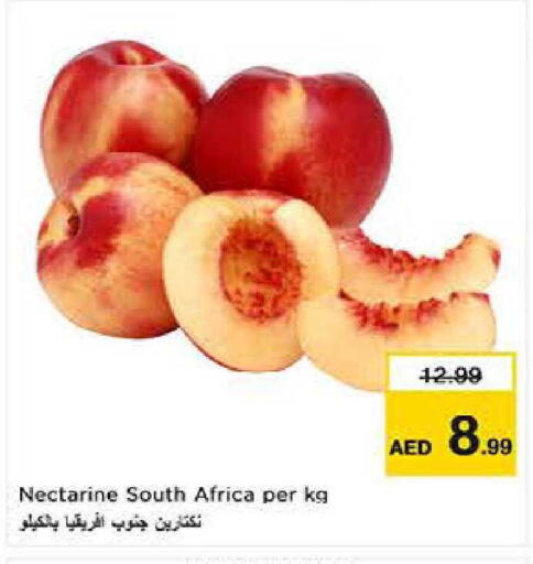 Nectarine from South Africa available at Last Chance  in UAE - Fujairah
