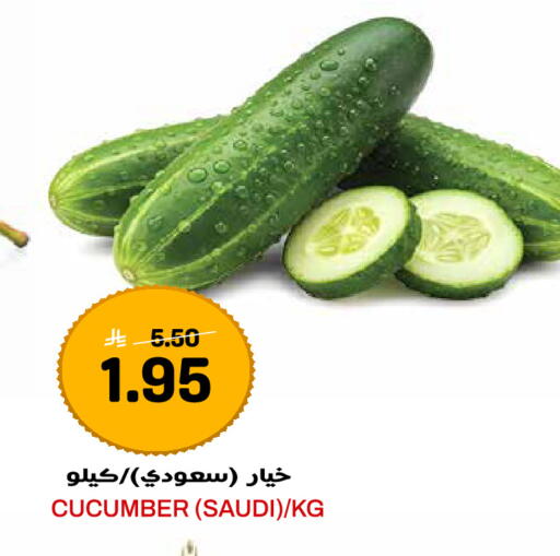 Cucumber from Saudi Arabia available at جراند هايبر in مملكة العربية السعودية, السعودية, سعودية - جدة