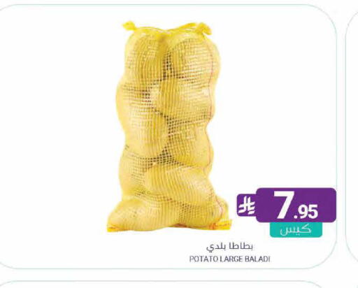 Potato available at اسواق المنتزه in مملكة العربية السعودية, السعودية, سعودية - القطيف‎