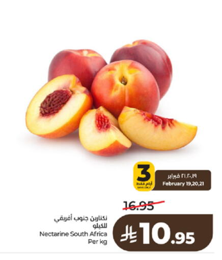 Nectarine from South Africa available at لولو هايبرماركت in مملكة العربية السعودية, السعودية, سعودية - خميس مشيط