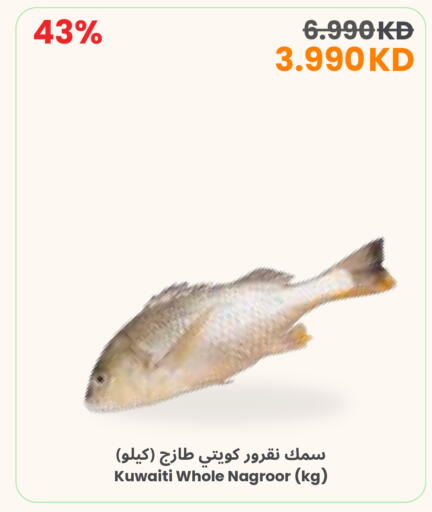 available at The Sultan Center in Kuwait - Ahmadi Governorate