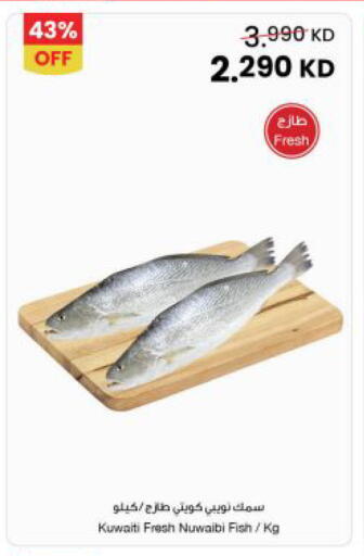 available at The Sultan Center in Kuwait - Ahmadi Governorate