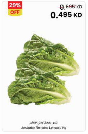 Lettuce from Jordan available at The Sultan Center in Kuwait - Jahra Governorate