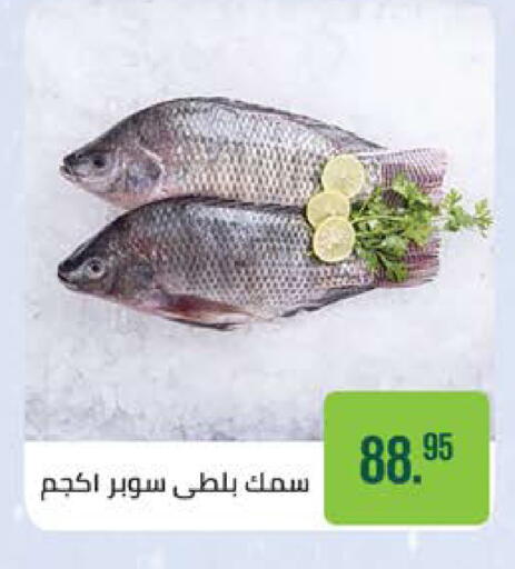 available at سعودي سوبرماركت in Egypt - القاهرة