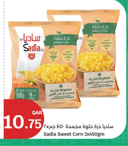available at سيتي هايبرماركت in قطر - الشحانية
