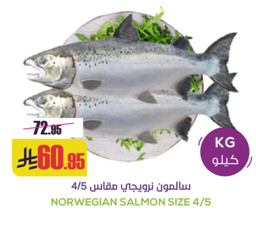 available at Sapt in KSA, Saudi Arabia, Saudi - Buraidah