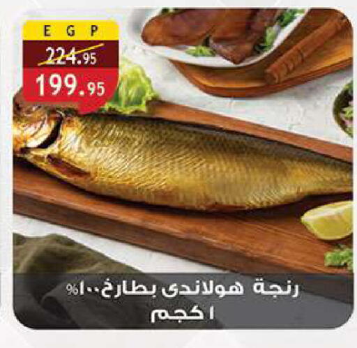 available at Al Rayah Market   in Egypt - Cairo