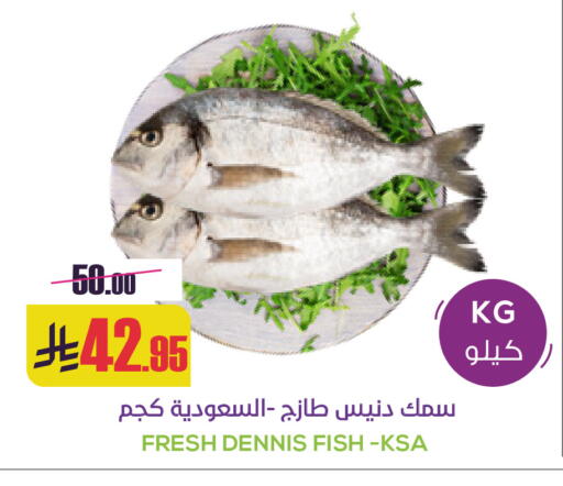 available at Sapt in KSA, Saudi Arabia, Saudi - Buraidah