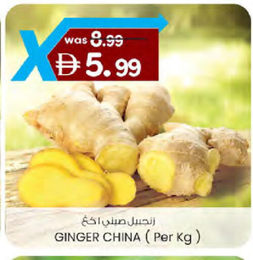 Ginger from China available at ك. الم. للتجارة in الإمارات العربية المتحدة , الامارات - دبي