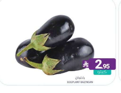 Eggplant available at اسواق المنتزه in مملكة العربية السعودية, السعودية, سعودية - القطيف‎