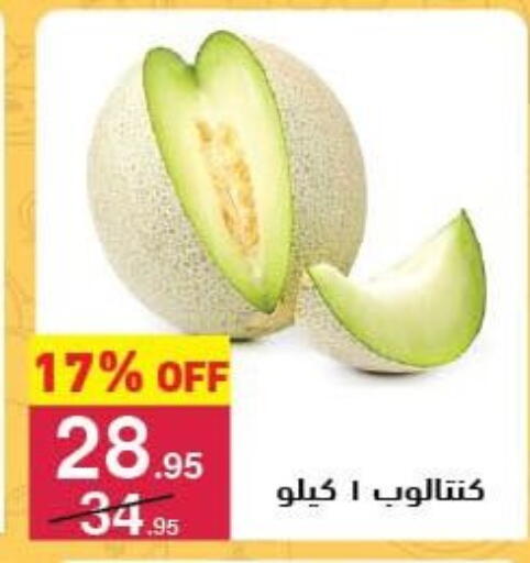 available at محمود الفار in Egypt - القاهرة