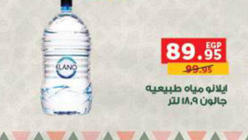 available at Panda  in Egypt - Cairo