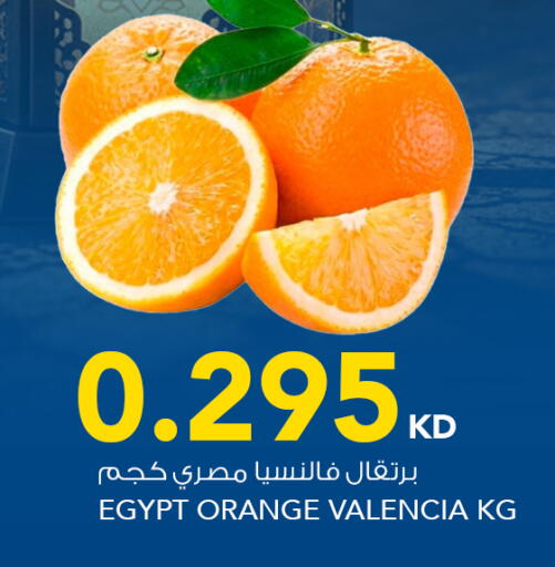 Orange from Egypt available at  ALNASSER HYPERMARKET in Kuwait - Ahmadi Governorate