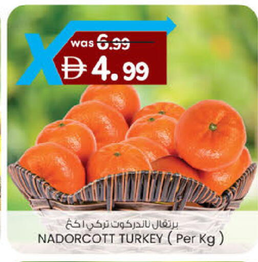 from Turkey available at صفا اكسبريس سوبرماركت in الإمارات العربية المتحدة , الامارات - ٱلْعَيْن‎