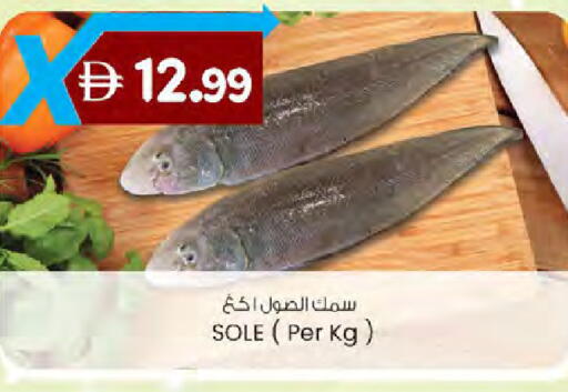 available at ك. الم. للتجارة in الإمارات العربية المتحدة , الامارات - دبي