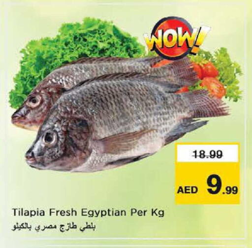 available at Nesto Hypermarket in UAE - Fujairah