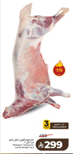 available at لولو هايبرماركت in مملكة العربية السعودية, السعودية, سعودية - تبوك