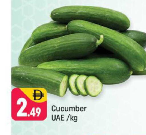 Cucumber available at شكلان ماركت in الإمارات العربية المتحدة , الامارات - دبي
