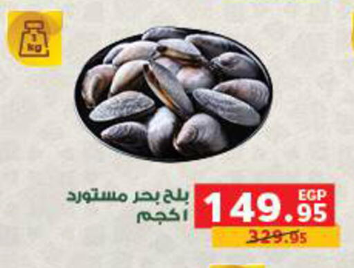 available at بنده in Egypt - القاهرة