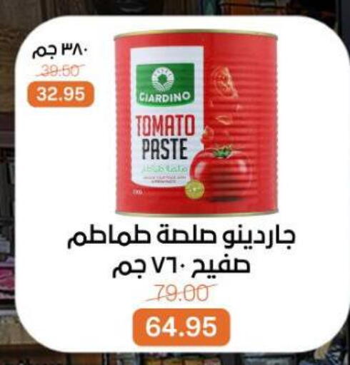 Tomato available at بيت الجملة in Egypt - القاهرة