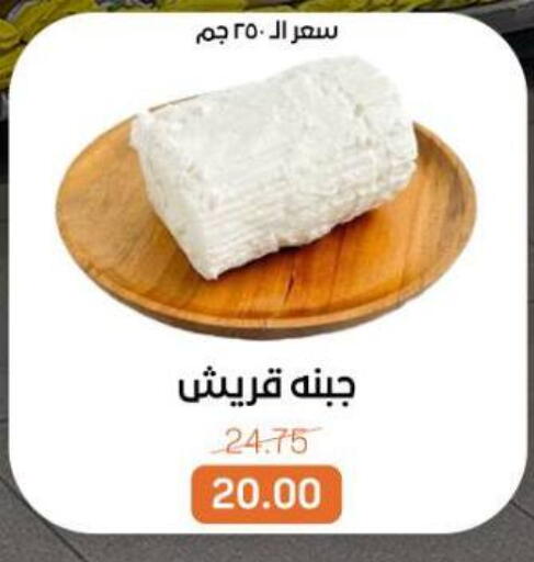 available at بيت الجملة in Egypt - القاهرة