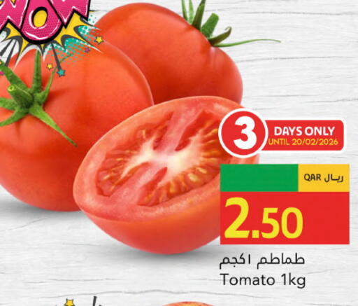 Tomato available at جلف فود سنتر in قطر - الدوحة