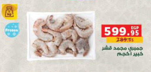 available at بنده in Egypt - القاهرة