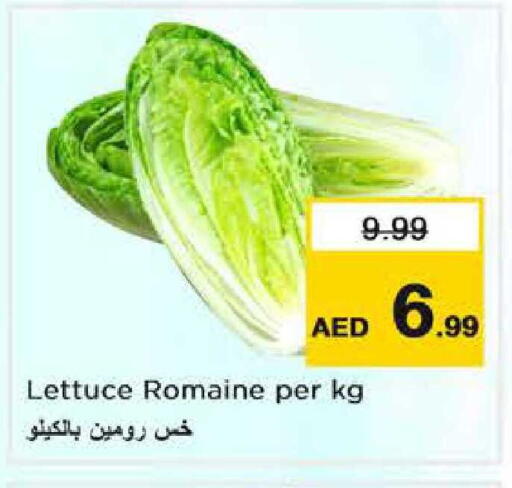 Lettuce available at نستو هايبرماركت in الإمارات العربية المتحدة , الامارات - دبي