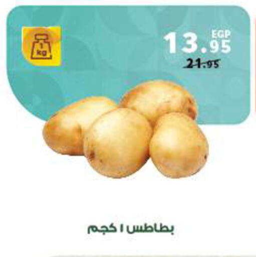 available at بنده in Egypt - القاهرة