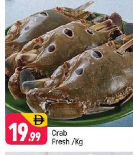 available at شكلان ماركت in الإمارات العربية المتحدة , الامارات - دبي