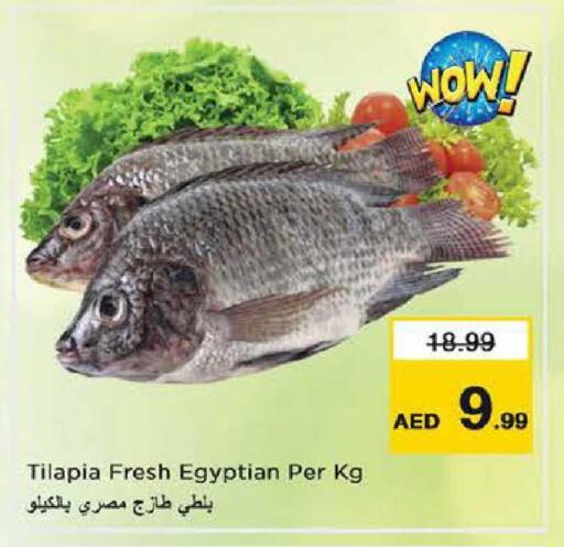 available at Nesto Hypermarket in UAE - Abu Dhabi