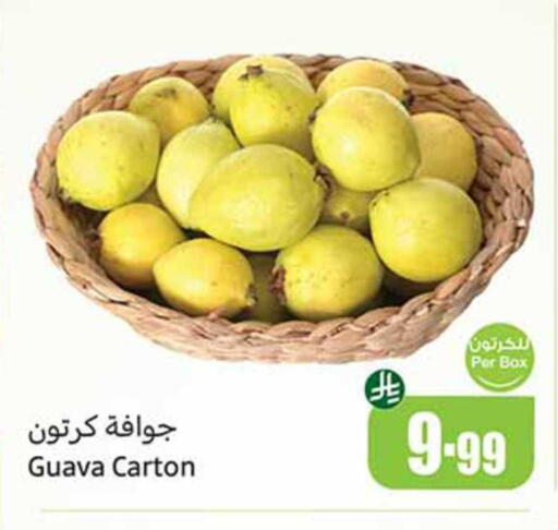 Guava available at أسواق عبد الله العثيم in مملكة العربية السعودية, السعودية, سعودية - أبها