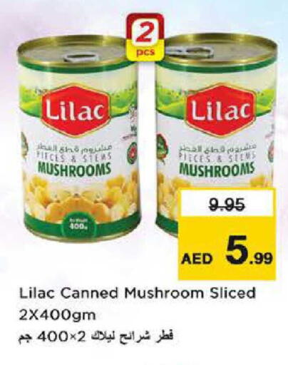 Mushroom available at نستو هايبرماركت in الإمارات العربية المتحدة , الامارات - دبي