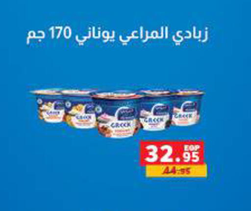 available at Panda  in Egypt - Cairo