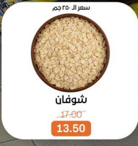 available at بيت الجملة in Egypt - القاهرة