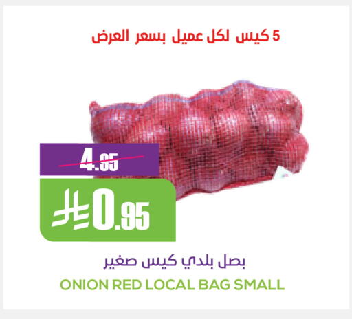 Onion available at سبت in مملكة العربية السعودية, السعودية, سعودية - بريدة