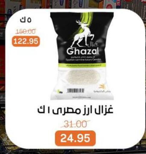 available at بيت الجملة in Egypt - القاهرة