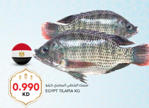 available at  ALNASSER HYPERMARKET in Kuwait - Ahmadi Governorate