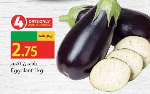Eggplant available at جلف فود سنتر in قطر - أم صلال