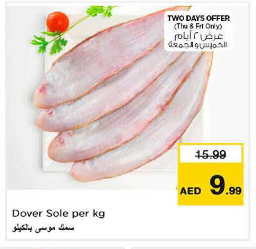 available at نستو هايبرماركت in الإمارات العربية المتحدة , الامارات - الشارقة / عجمان