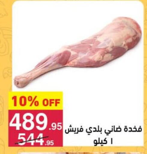 available at محمود الفار in Egypt - القاهرة