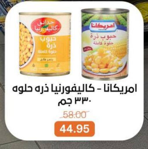 available at بيت الجملة in Egypt - القاهرة