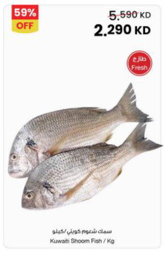 available at The Sultan Center in Kuwait - Ahmadi Governorate