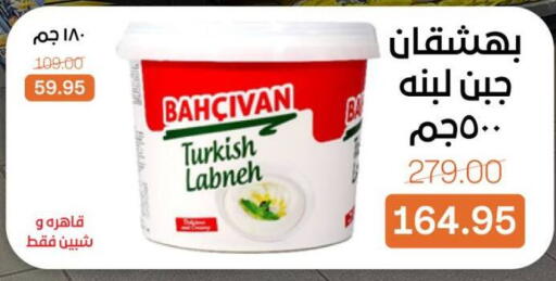 available at بيت الجملة in Egypt - القاهرة