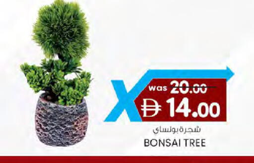 available at ك. الم. للتجارة in الإمارات العربية المتحدة , الامارات - دبي